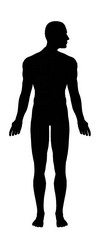 body