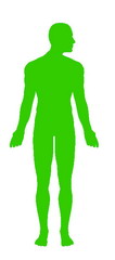 body