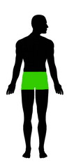 body