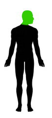 body