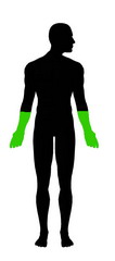 body
